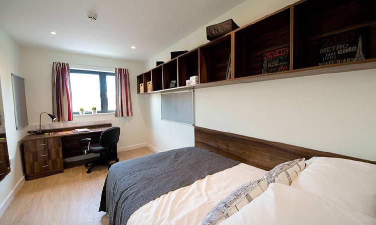 Zeni 5 Bed Apartment In Central Exeter Eksteriør bilde
